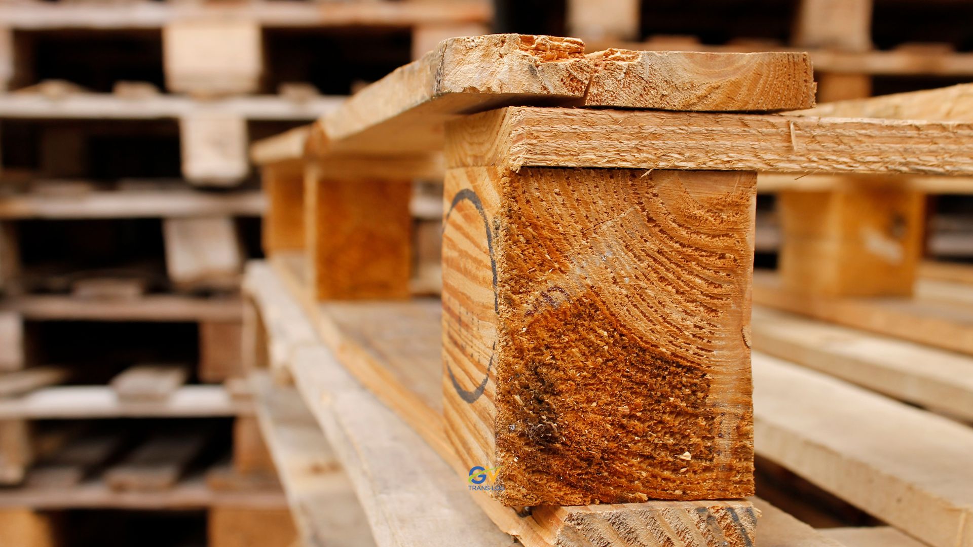 Gestione Pallet | Efficienza, Sostenibilità e Certificazioni